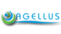 AGELLUS - 125 x 70